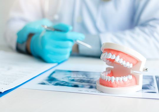 Model of denture on desk with X-ray